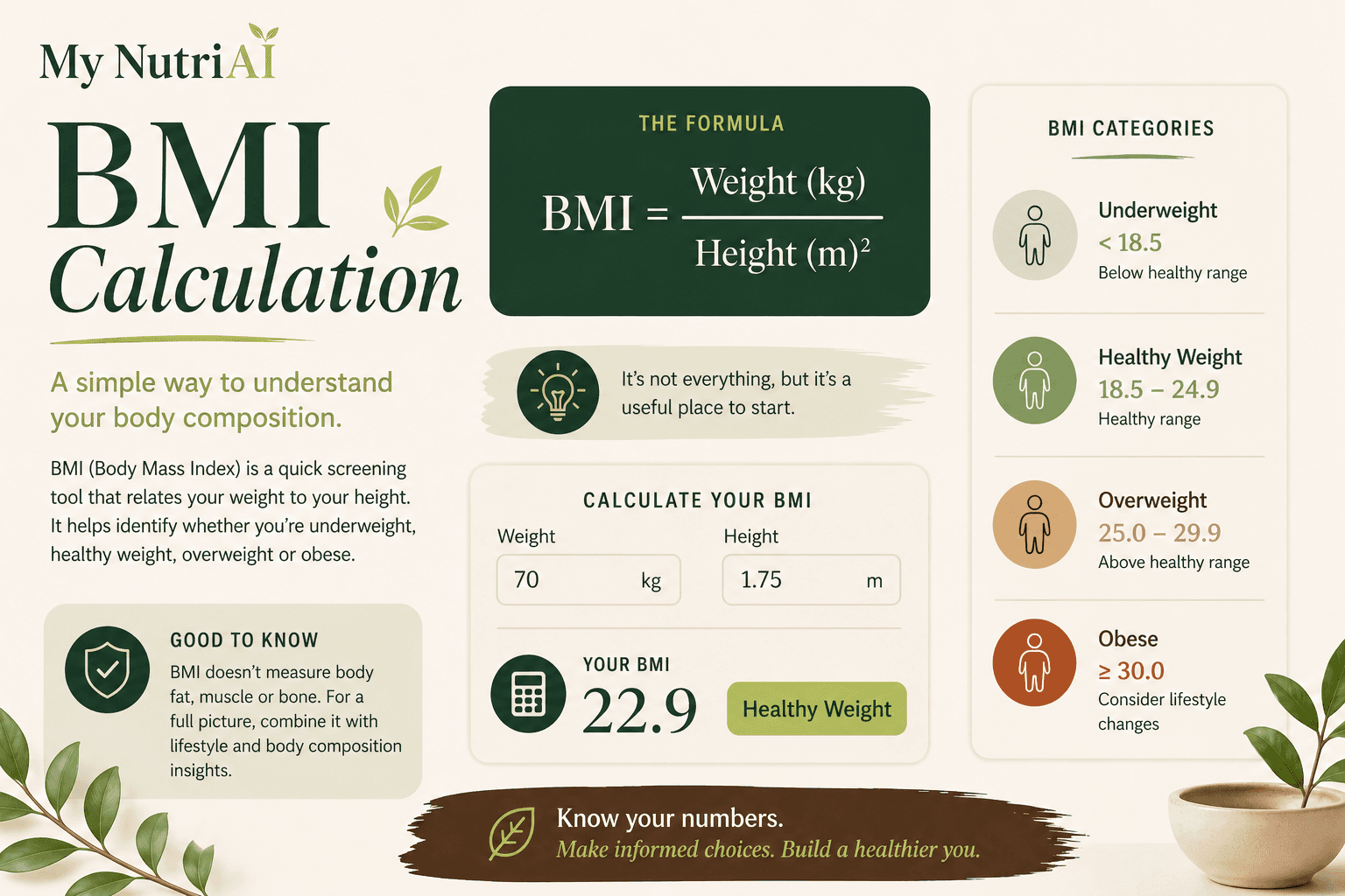 BMI calculation infographic showing the formula, four WHO categories, and a sample result of 22.9 — My Nutri AI